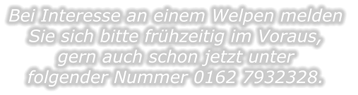 Bei Interesse an einem Welpen melden  Sie sich bitte frhzeitig im Voraus, gern auch schon jetzt unter folgender Nummer 0162 7932328.